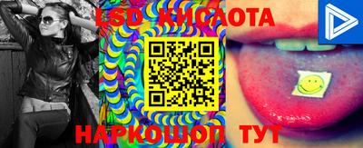 бошки Краснодар