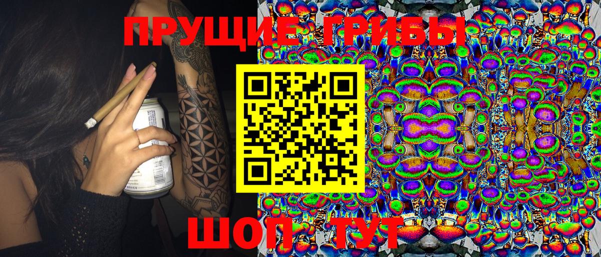 Жуковский  Псилоцибиновые грибы MAGIC MUSHROOMS  Вход с VPN 