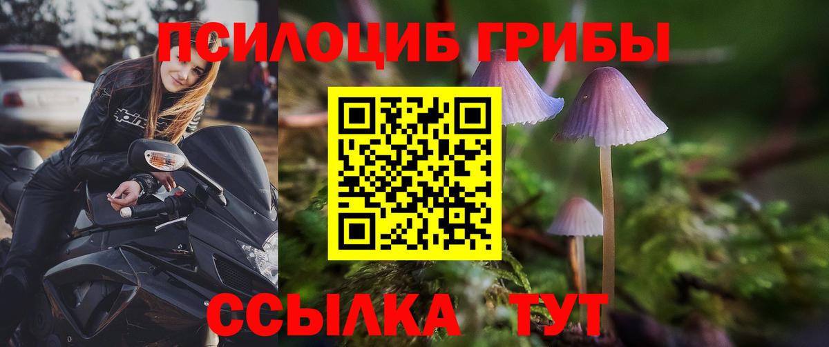 Гашиш Жуковский